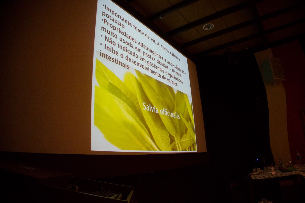 O mundo fantástico das ervinhas, by Carmen.