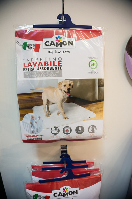 27208054264_67e71a4e56_z