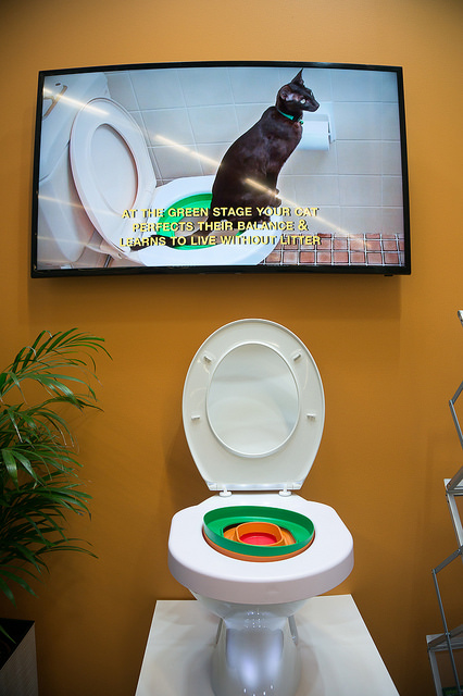 27785896916_fc32b19463_z