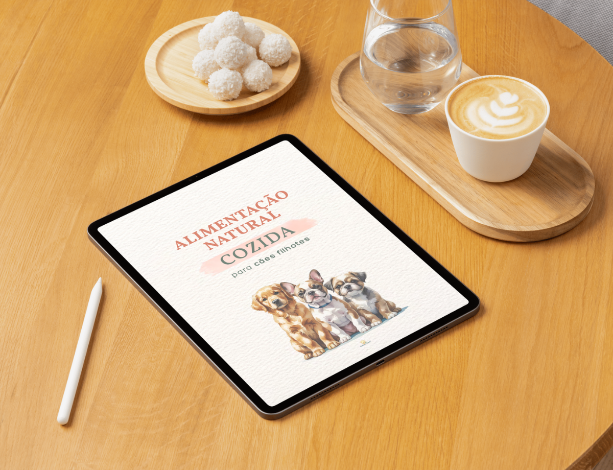 Ilustração do ebook - ingredientes naturais