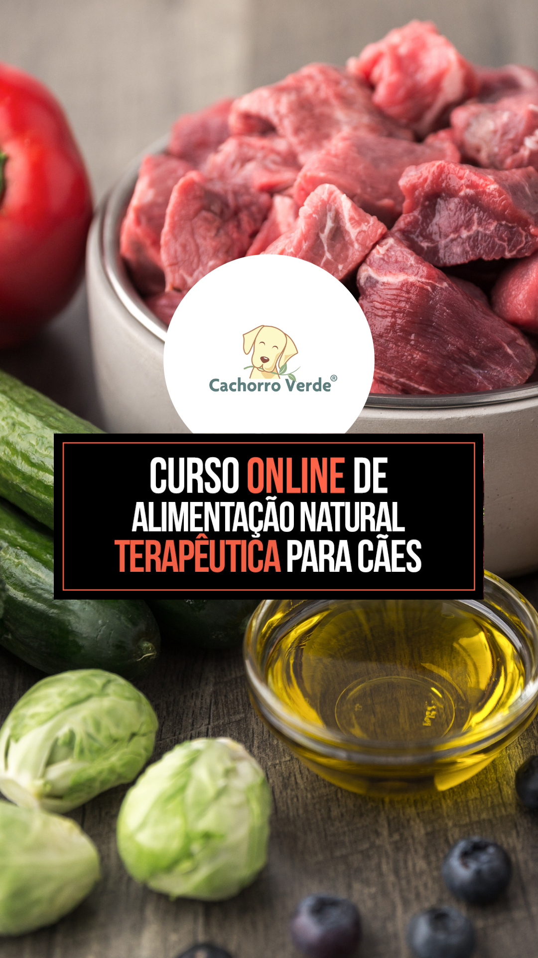 Curso de AN Terapêutica para Cães