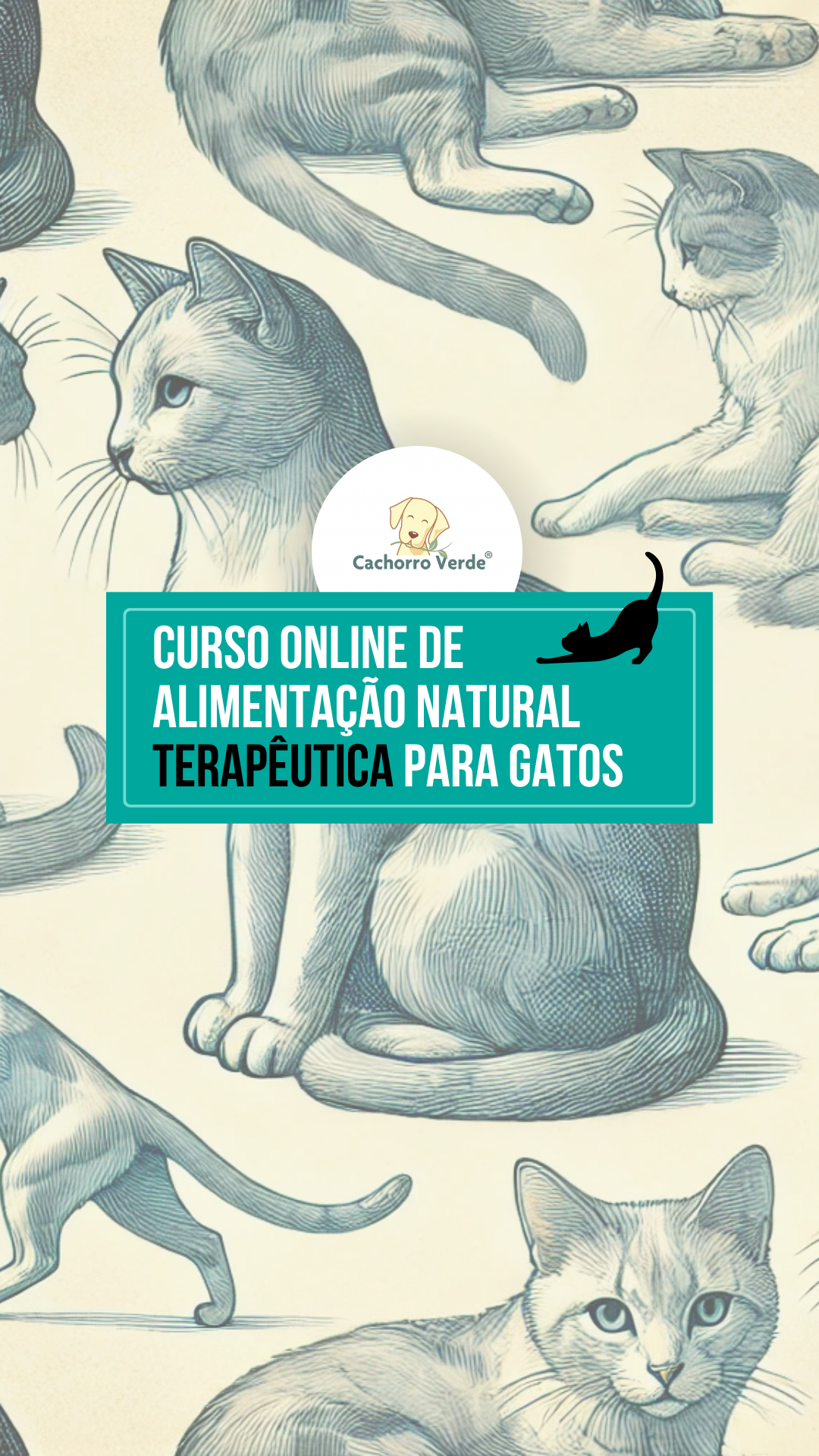 Curso de AN Terapêutica para Gatos